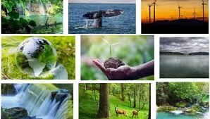 images (1)