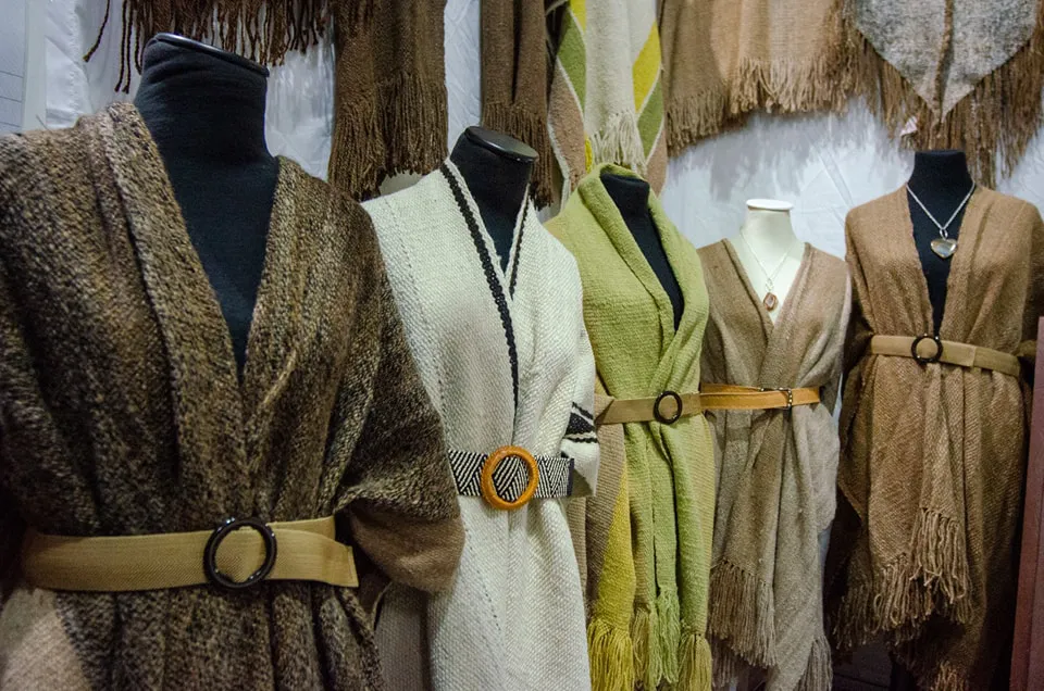 361610315_681424317363537_3057250397324766331_n