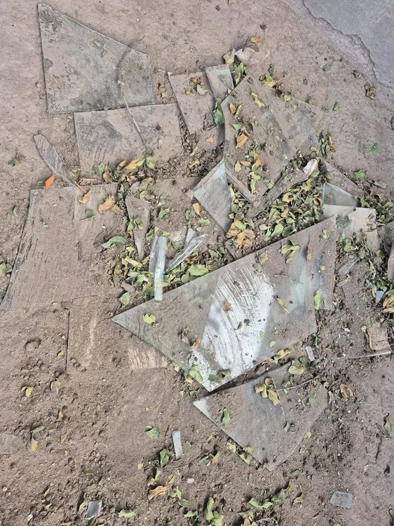 FB_IMG_1774723908527