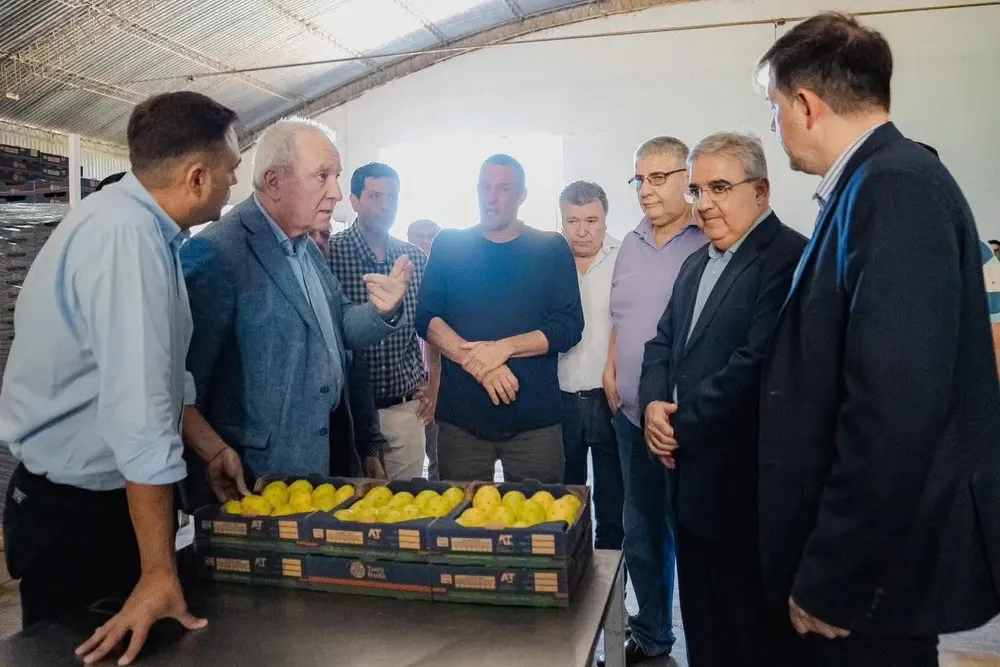 FB_IMG_1773663676281