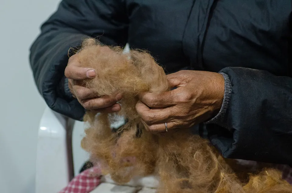 361631195_681424197363549_392596509045800087_n