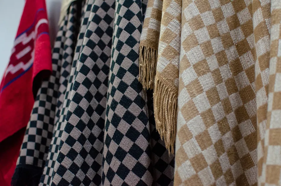 361595352_681424440696858_5473662382219385265_n