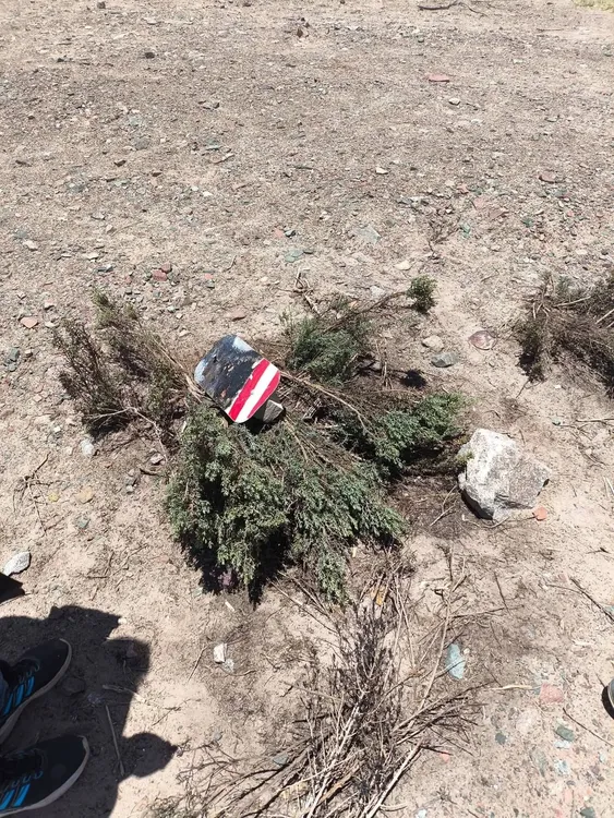 FB_IMG_1768256739616